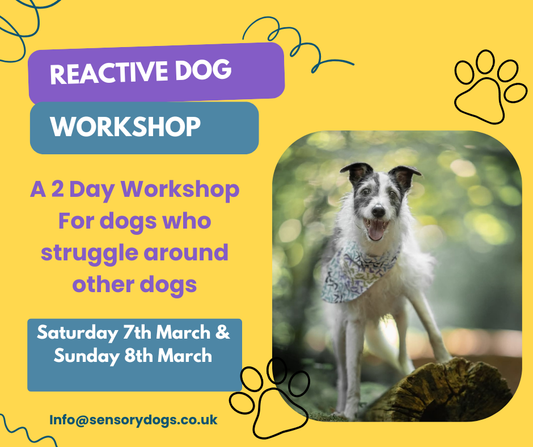 2 Day Reactive Dog Workshop