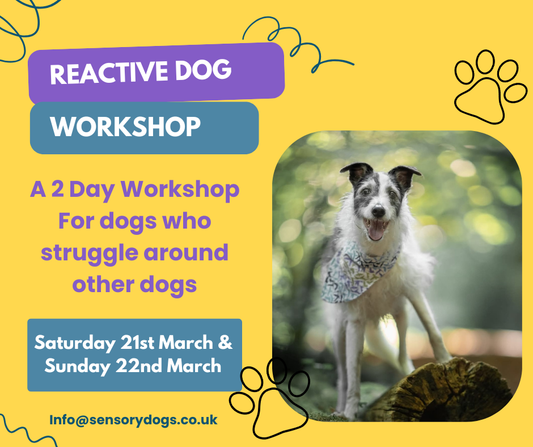 2 Day Reactive Dog Workshop